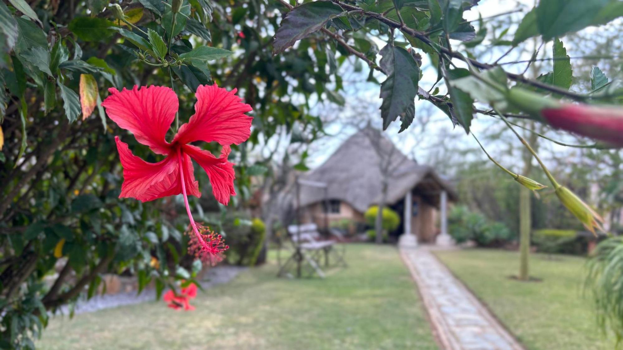 Lynns Guest House Булавайо Екстериор снимка